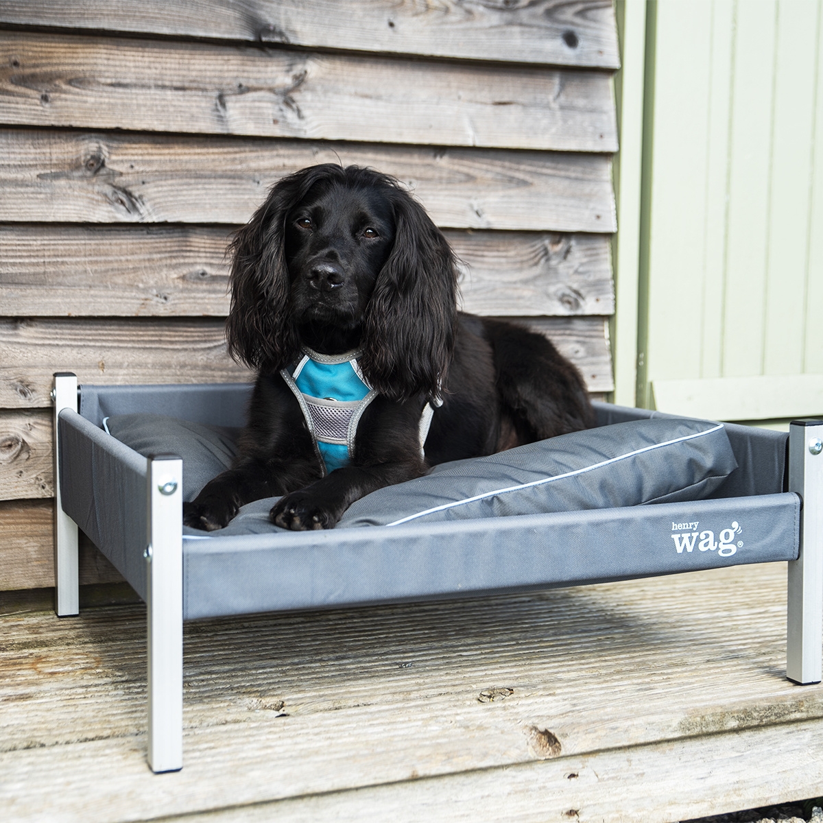 HENRY WAG Brecon Adventure matracis suņiem, M, pelēks - Produkta attēls 4