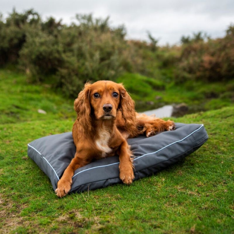 HENRY WAG Brecon Adventure guļvieta suņiem, L, pelēka - Produkta attēls 3