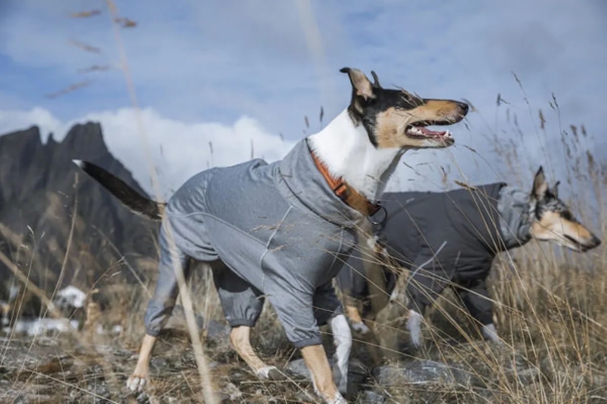 HURTTA Body warmer kombinezons, pelēks, 35M - Produkta attēls 5