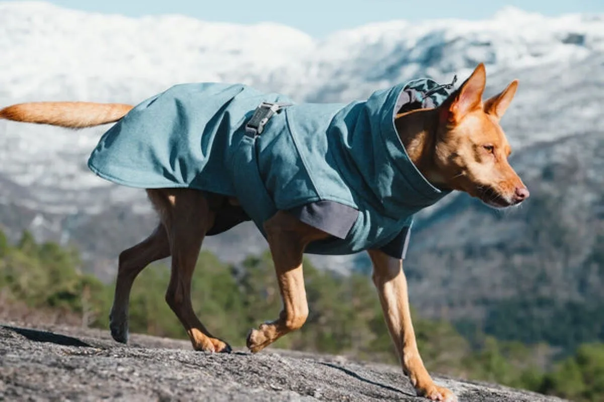 HURTTA Expedition jaka 35 XL, zila - Produkta attēls 2