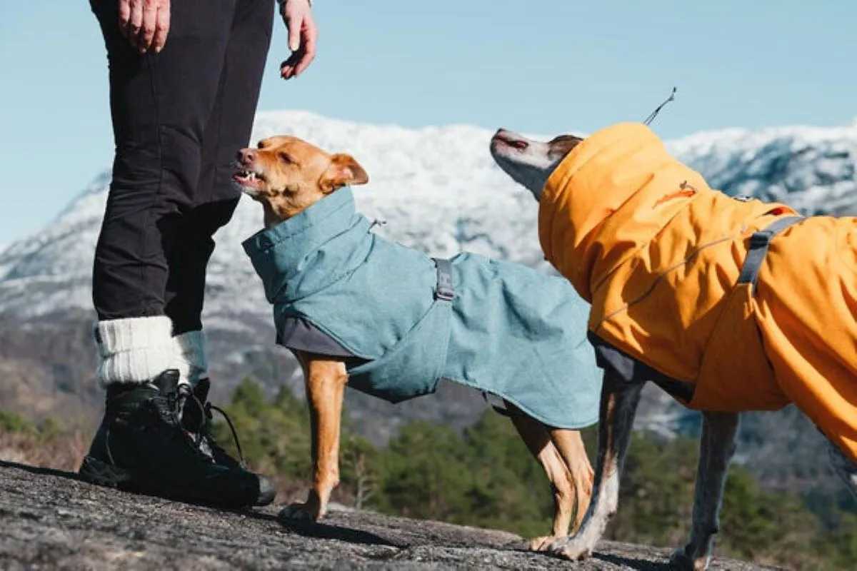 HURTTA Expedition jaka 30 XL, zila - Produkta attēls 3
