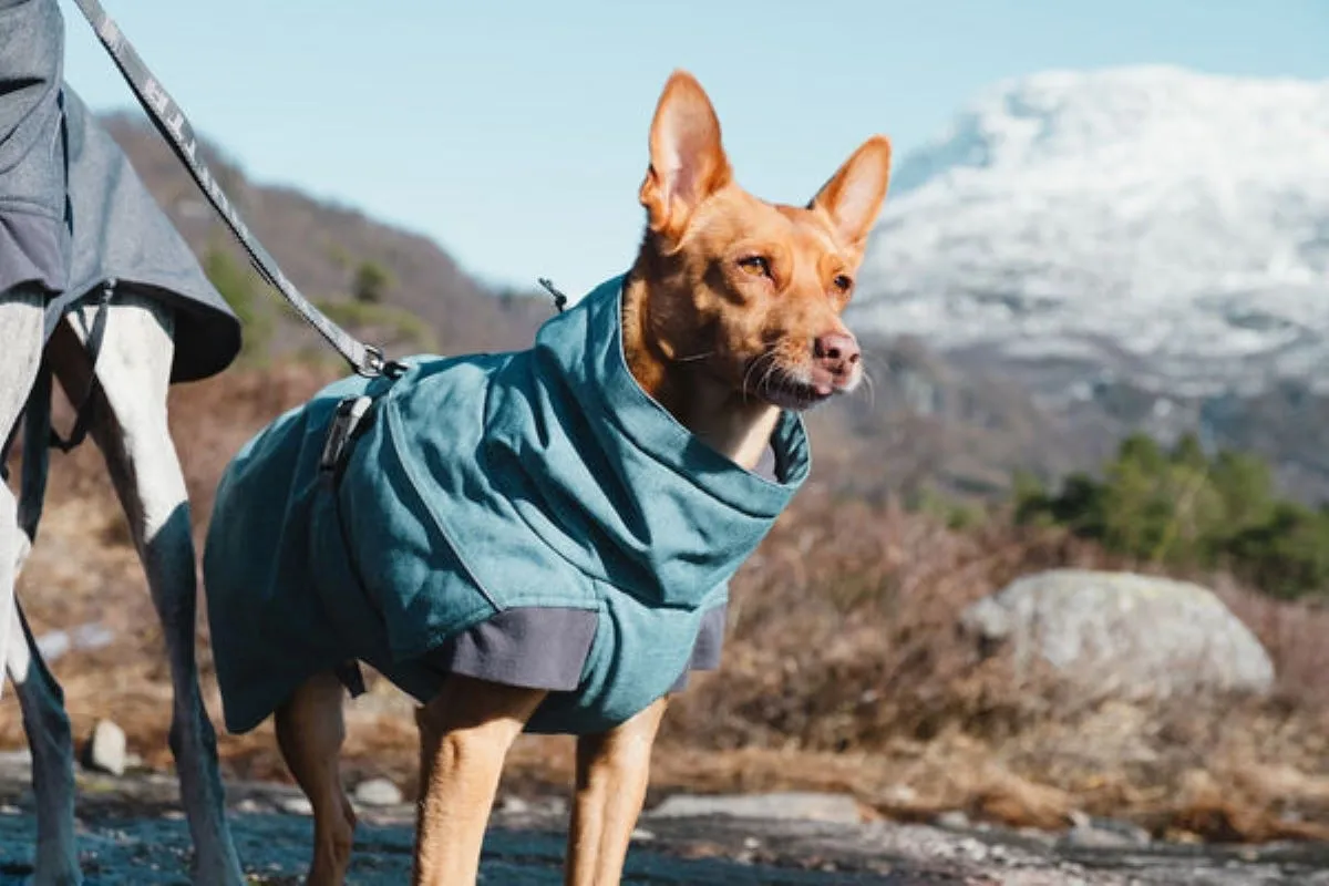 HURTTA Expedition jaka 35 XL, zila - Produkta attēls 4