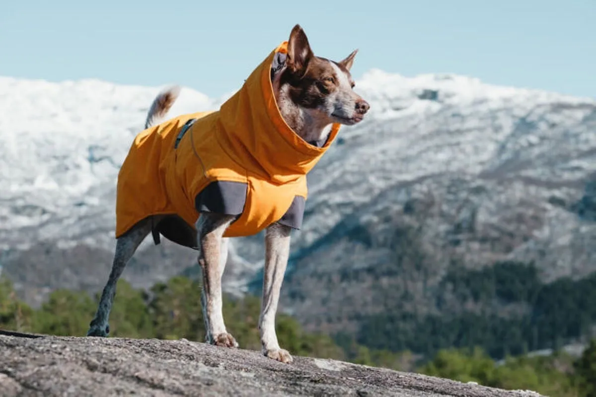 HURTTA Expedition jaka 50, oranža - Produkta attēls 2