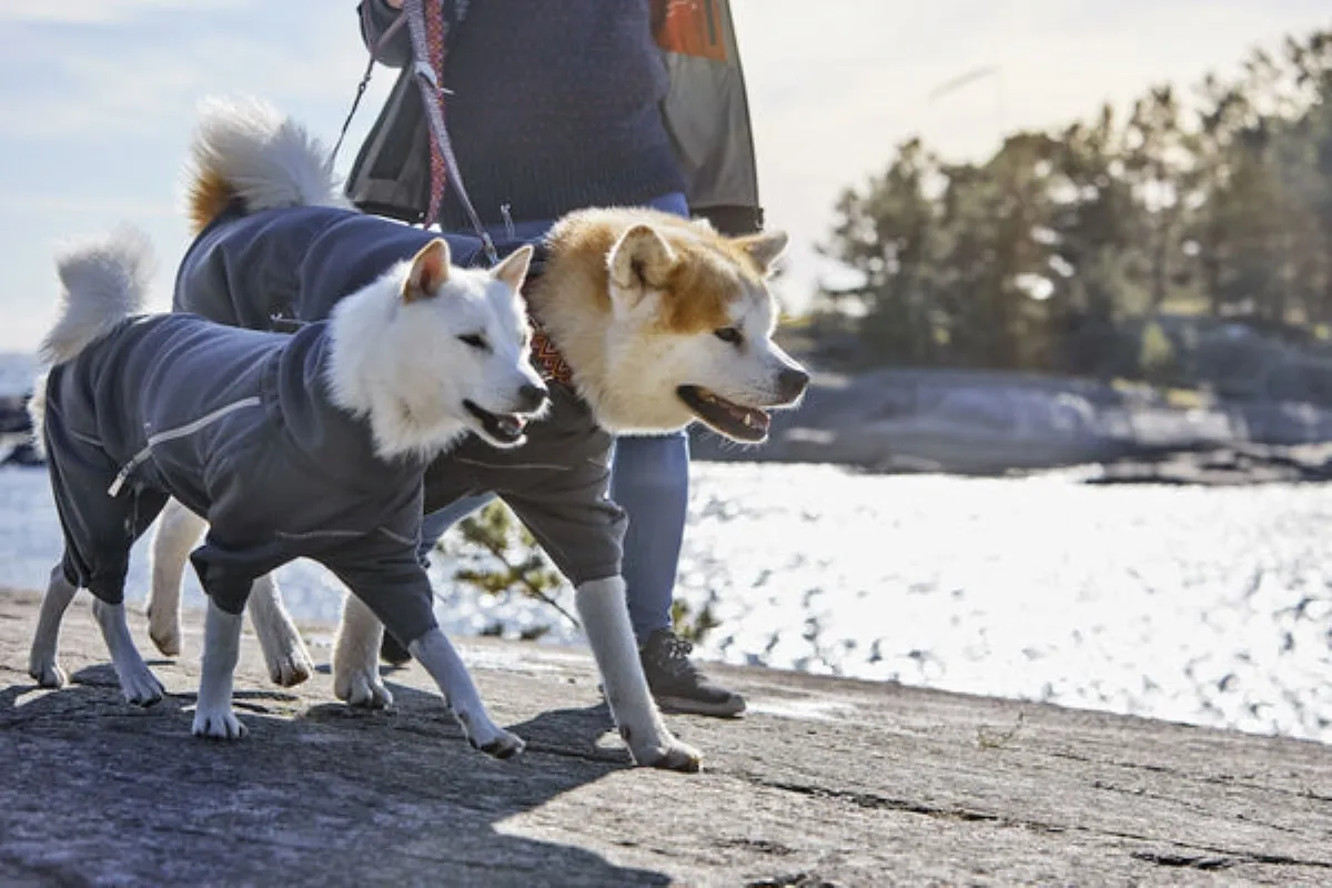 Hurtta Midlayer kombinezons 40M, violets - Produkta attēls 2