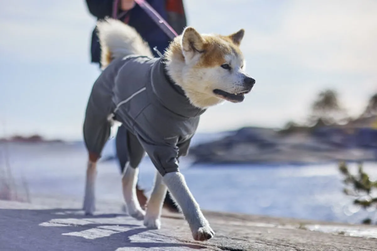 Hurtta Midlayer kombinezons 30M, violets - Produkta attēls 3