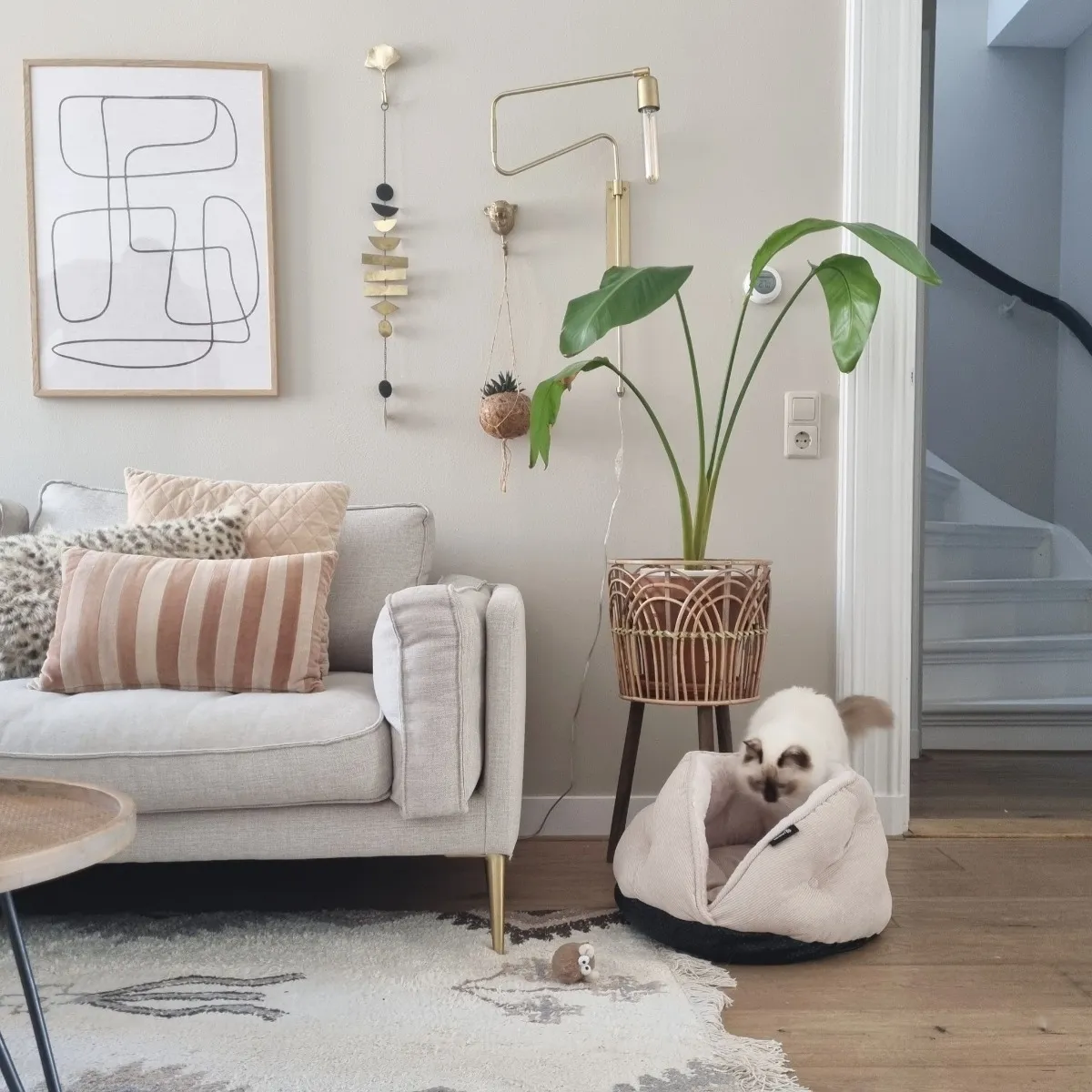 DISTRICT 70 Tuck guļvieta, 50х50 х30 cm, bēša - Produkta attēls 2
