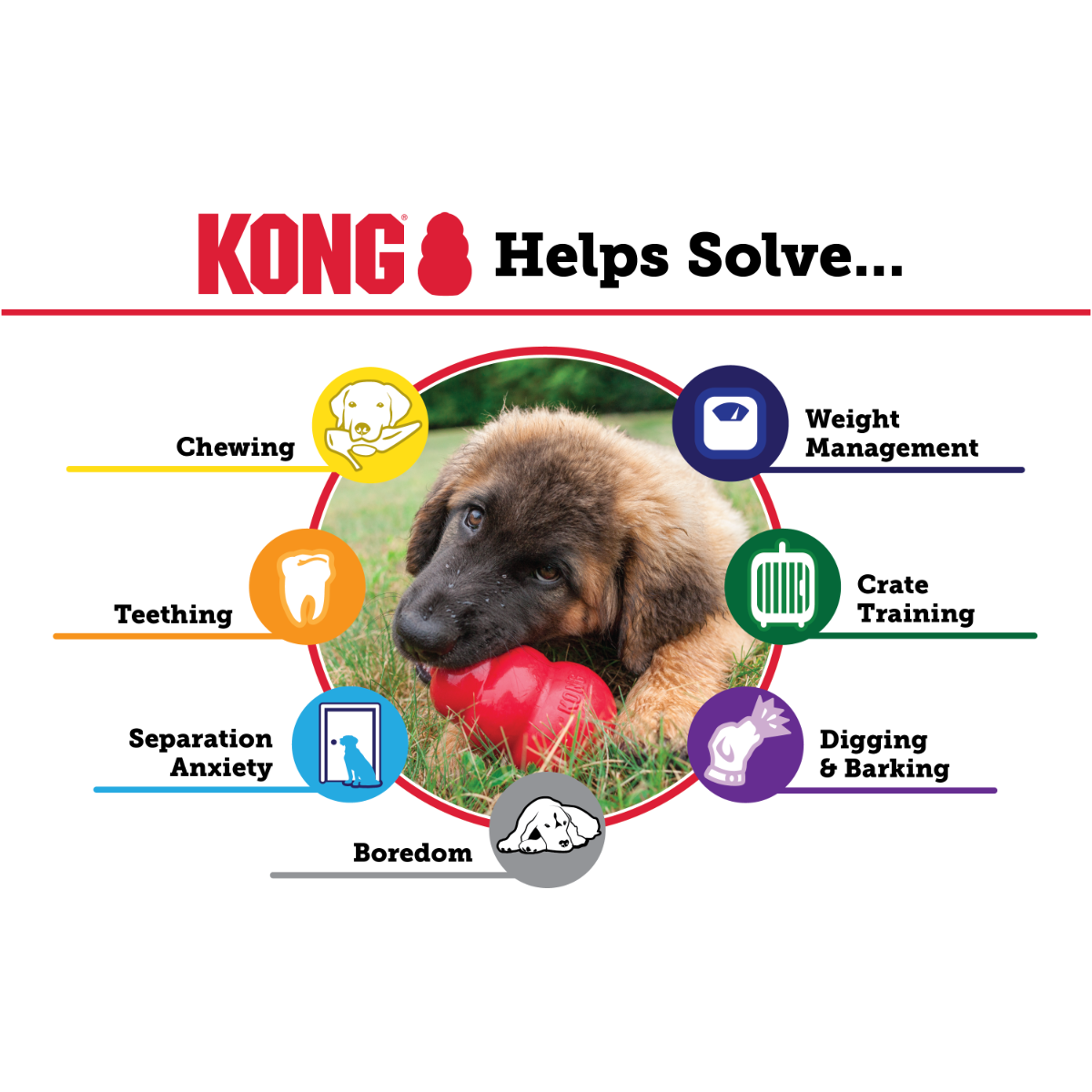 KONG Classic rotaļlieta suņiem, XL - Produkta attēls 4
