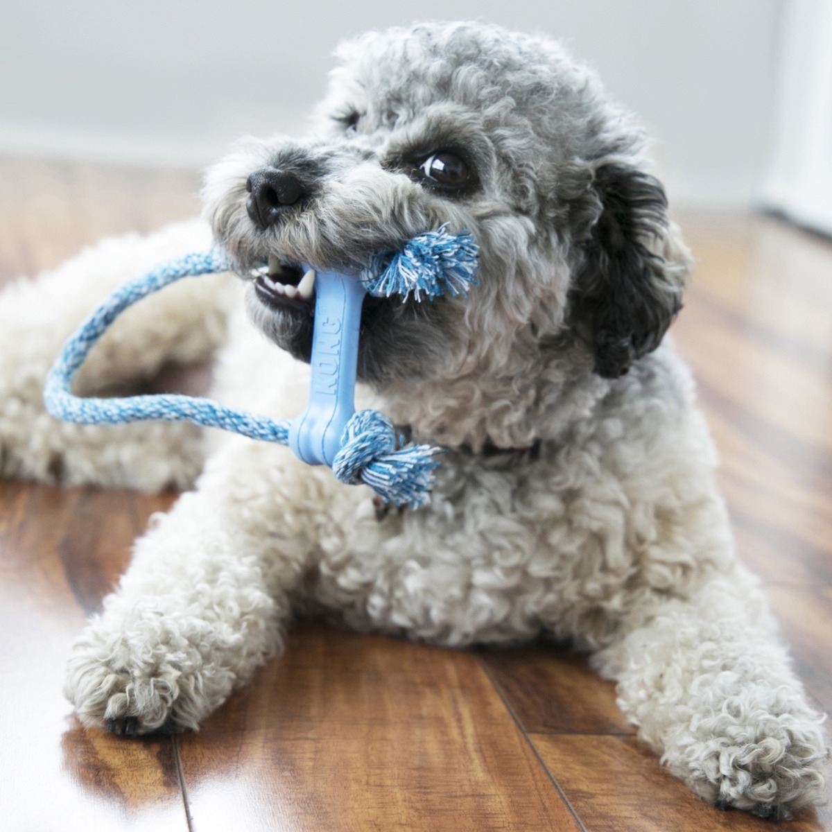 KONG Puppie Goodie Goodie Bone ar virvi kucēniem, XS - Produkta attēls 5