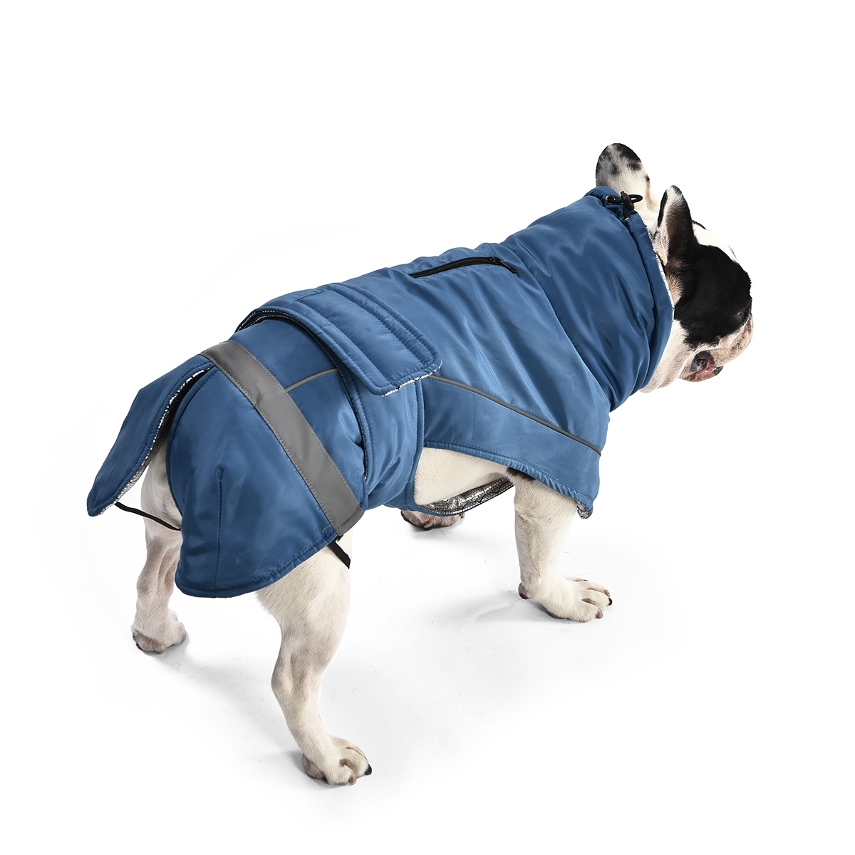 Ohana Windproof Eco suņu mētelis L, zils - Produkta attēls 3