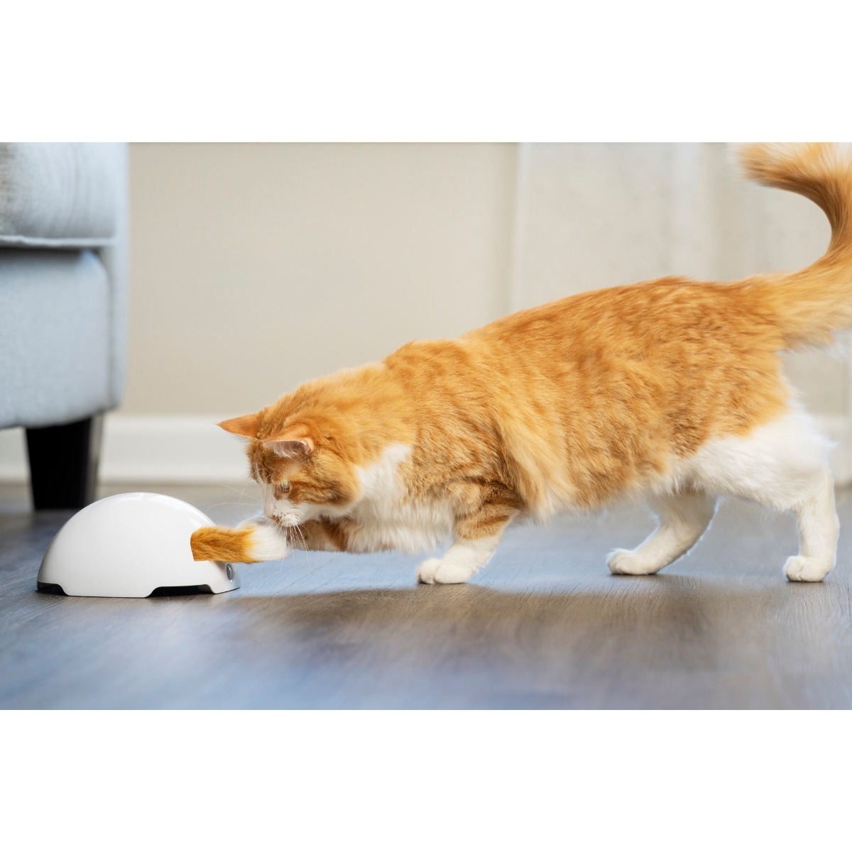PETSAFE Fox Den interaktīva rotaļlieta kaķiem - Produkta attēls 4