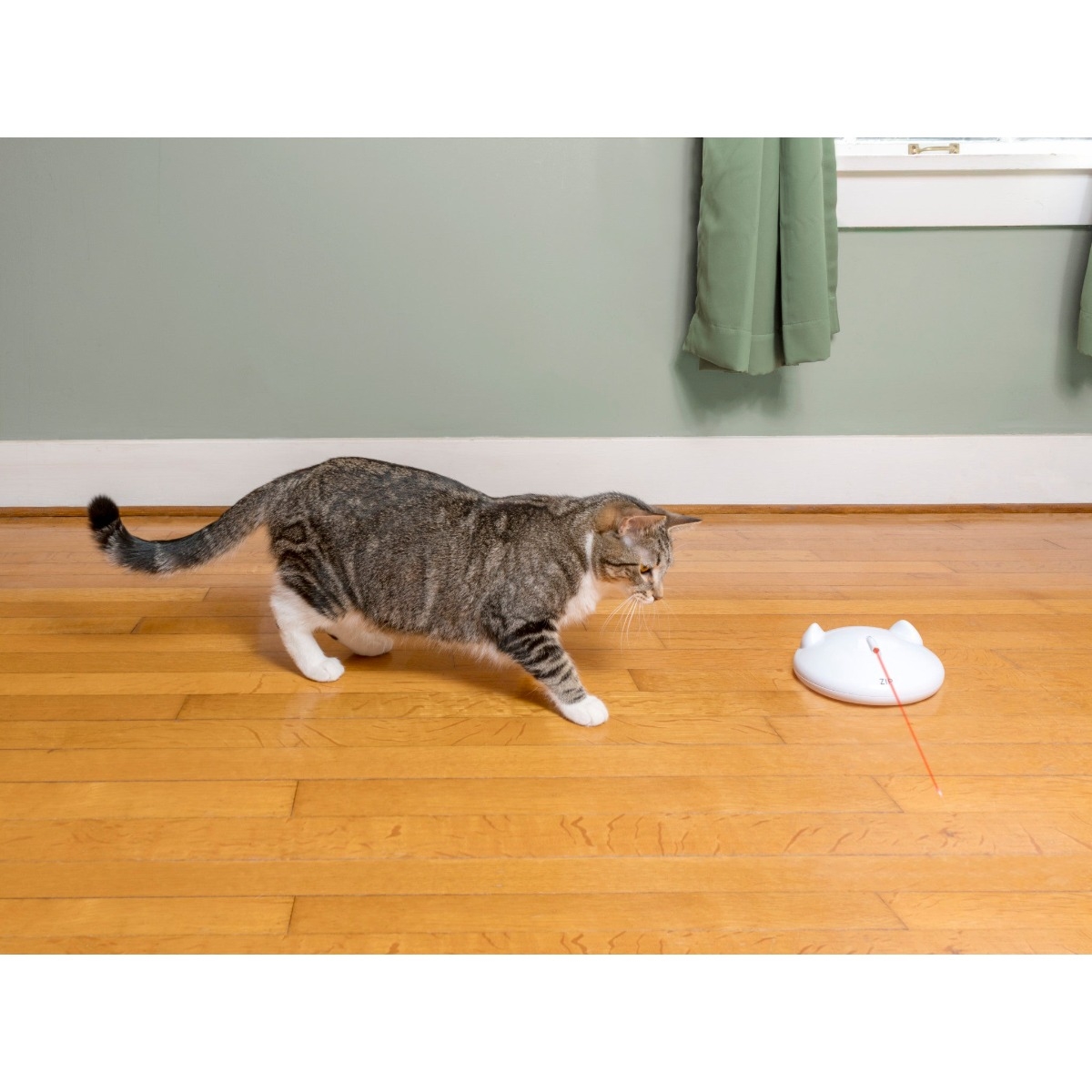PETSAFE Zip interaktīva rotaļlieta ar lāzera staru - Produkta attēls 3