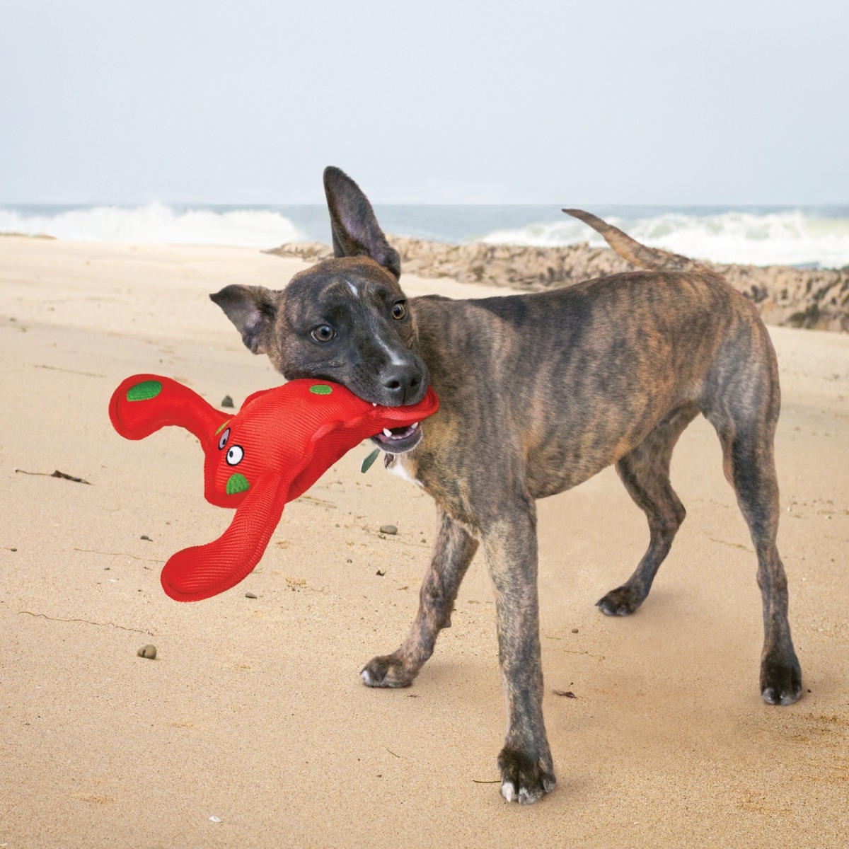 KONG BELLY Flops Octopus rotaļlieta suņiem - Produkta attēls 3