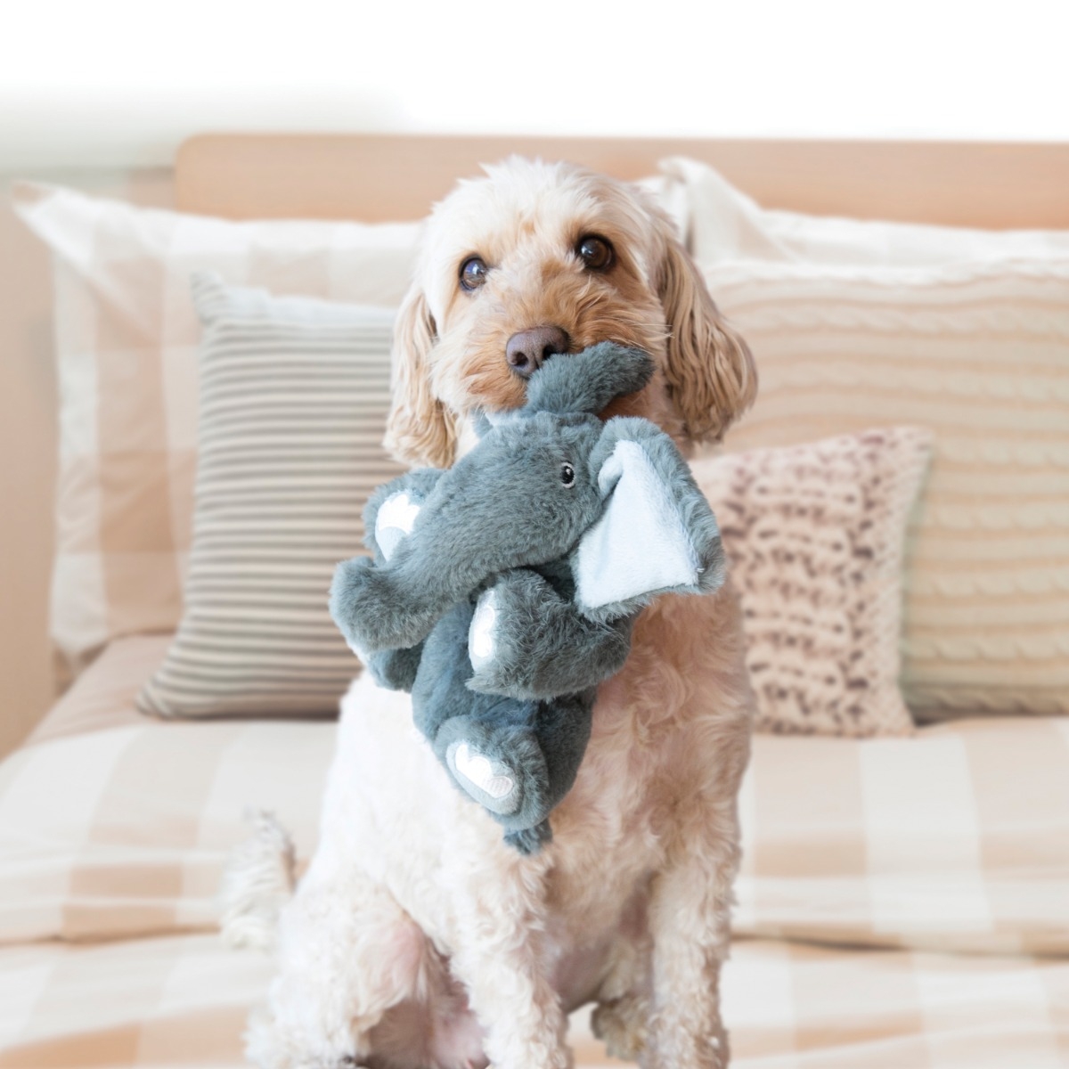 Kong Comfort Kiddos zilonis,  S - Produkta attēls 3