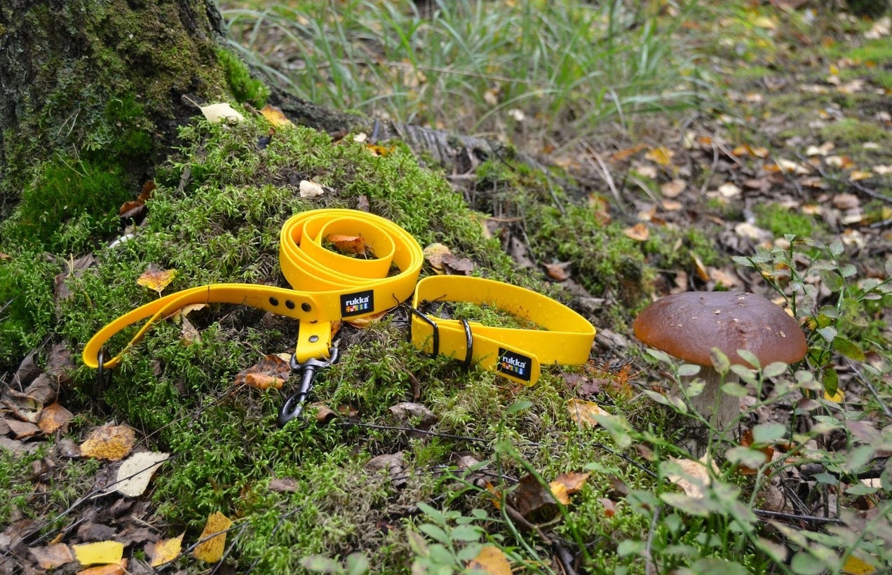 RUKKA Biodipro pavada suņiem, 180cm x 2,5cm - Produkta attēls 4