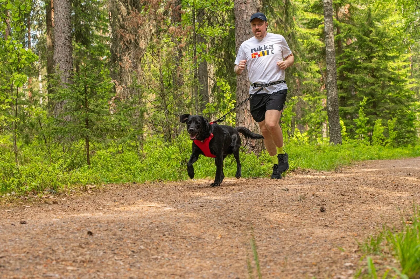 Rukka Hike running pārgājienu skriešanas josta+siksna pelēka, M - Produkta attēls 2