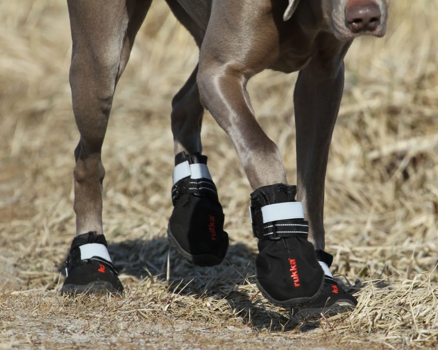 Rukka Proff Boots zābaki 6.izm. 63 mm, 2 gb - Produkta attēls 2