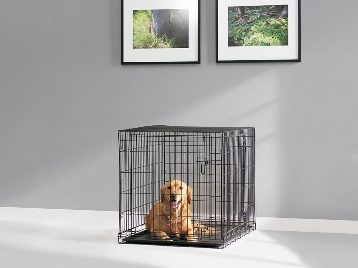Savic Dog Cottage būris suņiem, 118cm - Produkta attēls 2