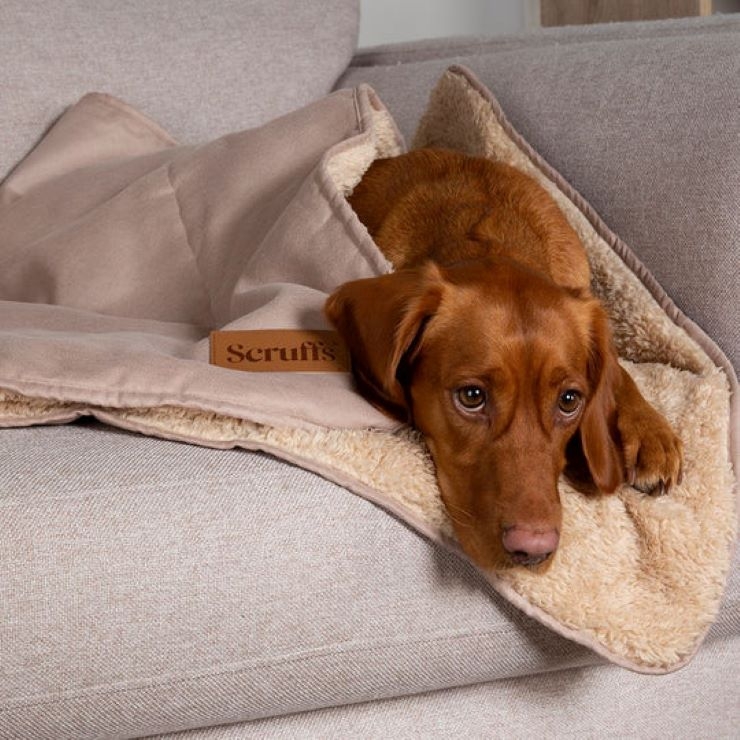 SCRUFFS Snuggle sega kucēniem, 110 x 72,5cm, bēša - Produkta attēls 3