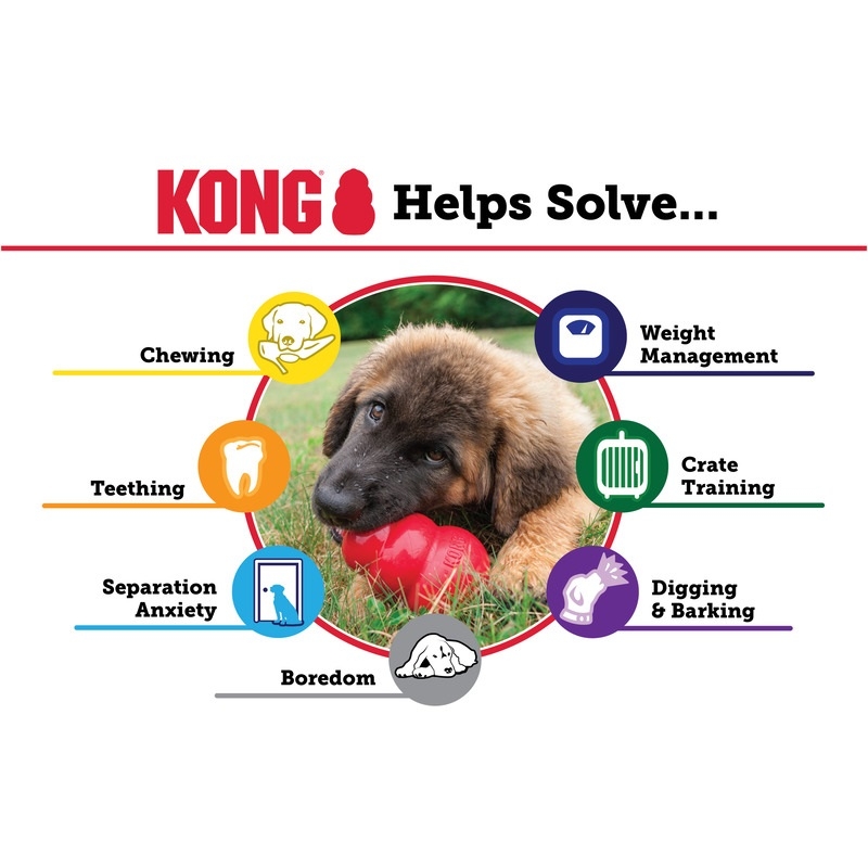 KONG Puppy rotaļlieta kucēniem, S - Produkta attēls 6