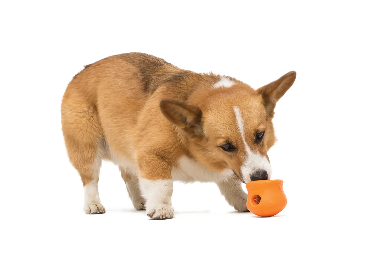 WEST PAW Toppl gumijas rotaļlieta suņiem S, oranža, 6,4cm - Produkta attēls 5