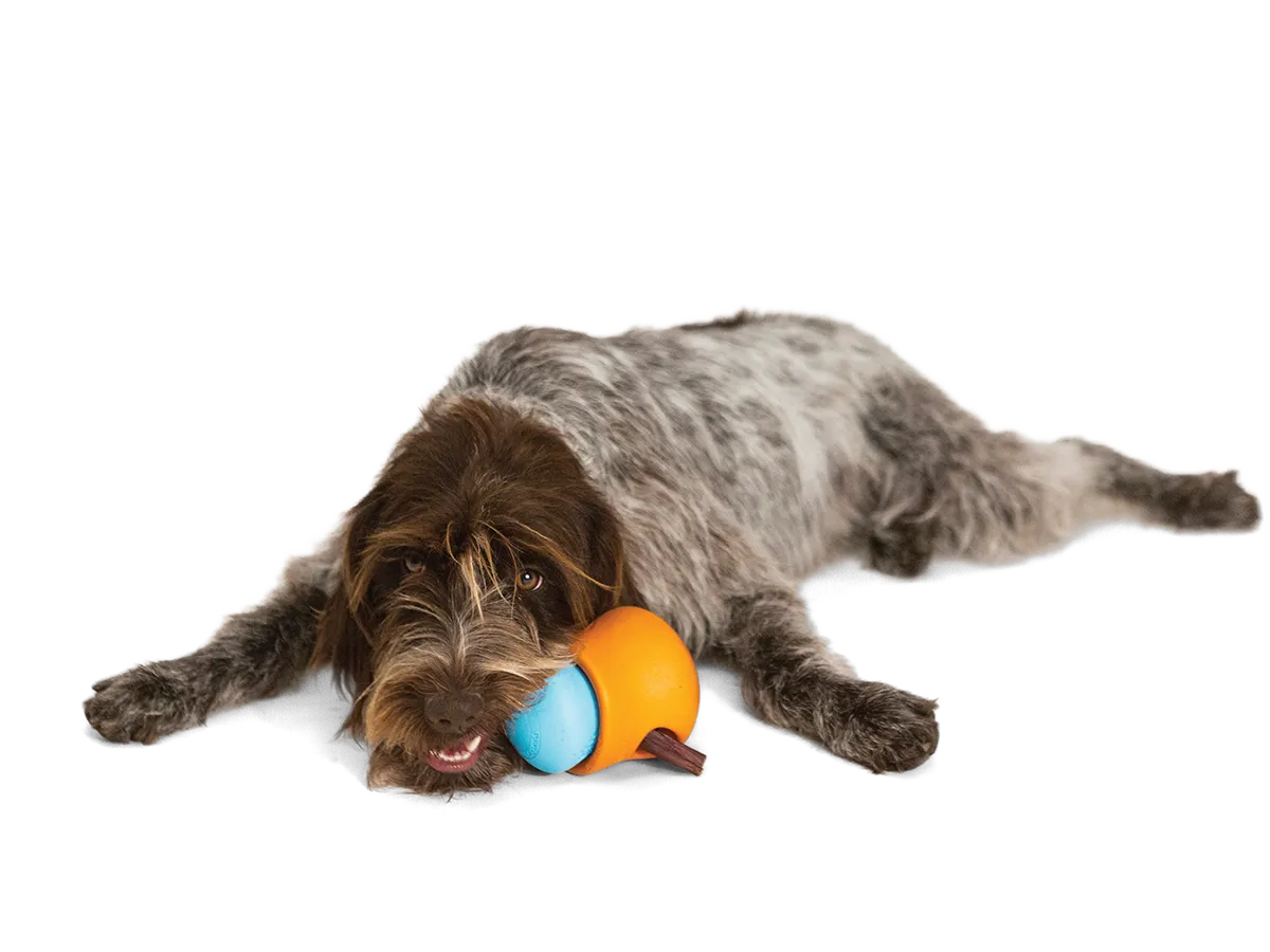 WEST PAW Toppl gumijas rotaļlieta suņiem S, oranža, 6,4cm - Produkta attēls 3