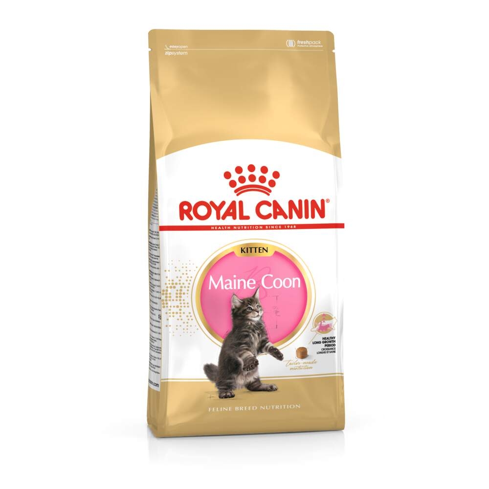 ROYAL CANIN sausā barība Meinkūnu šķirnes kaķēniem, 2kg - Produkta attēls 2