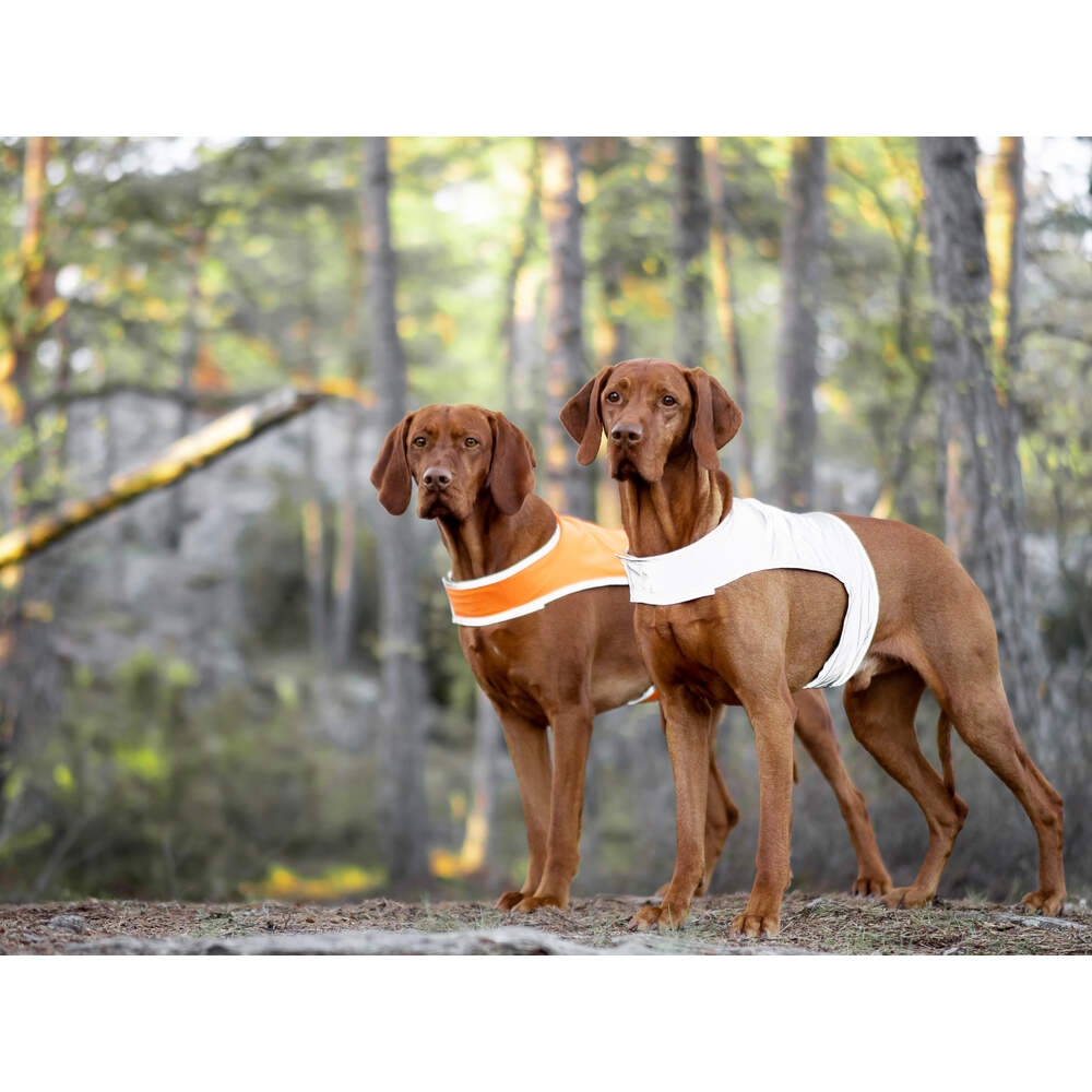 FEEL ACTIVE Divpusēja atstarojošā veste, XS - Produkta attēls 2