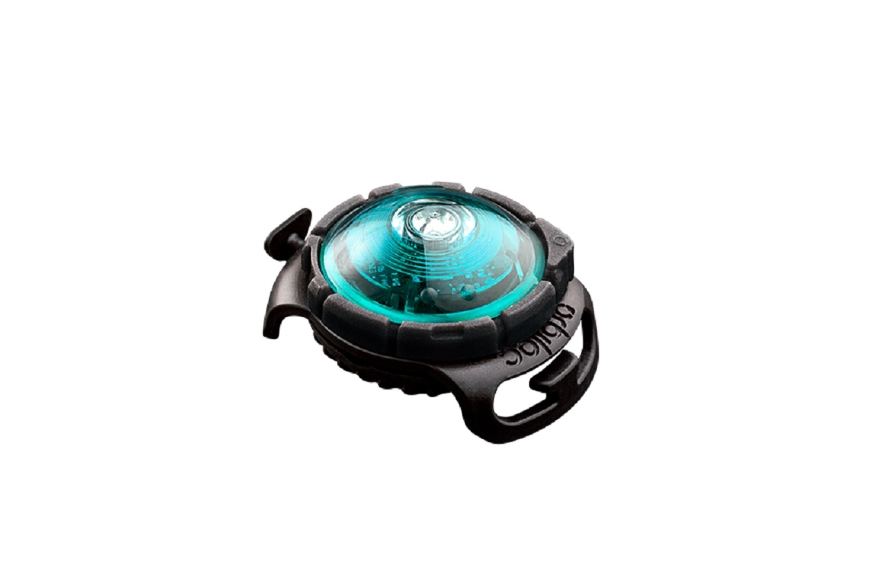 ORBILOC Dog Dual LED gaisma, tirkīza krāsā - Produkta attēls 3