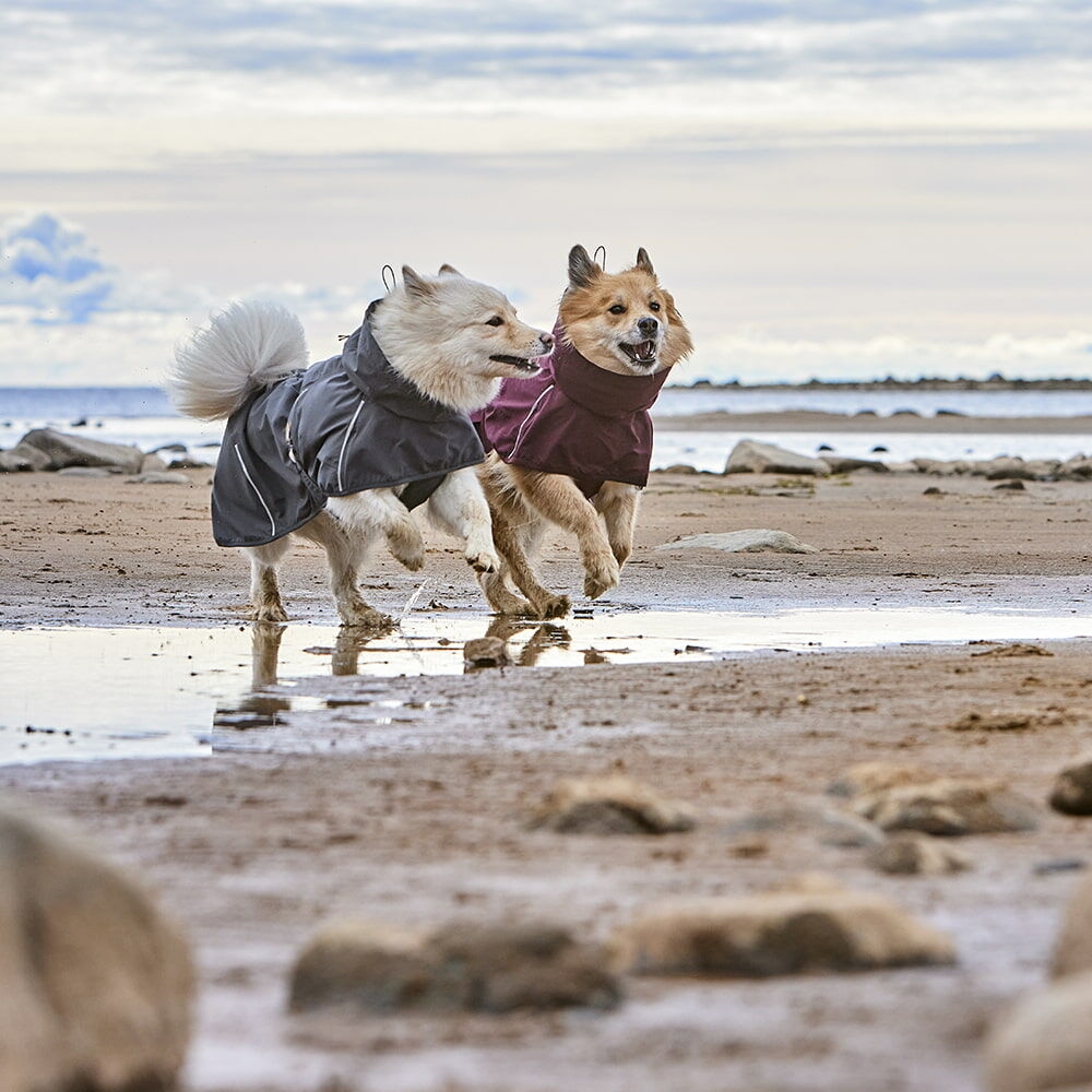 HURTTA Expedition II jaka suņiem, 30M, pelēka - Produkta attēls 2