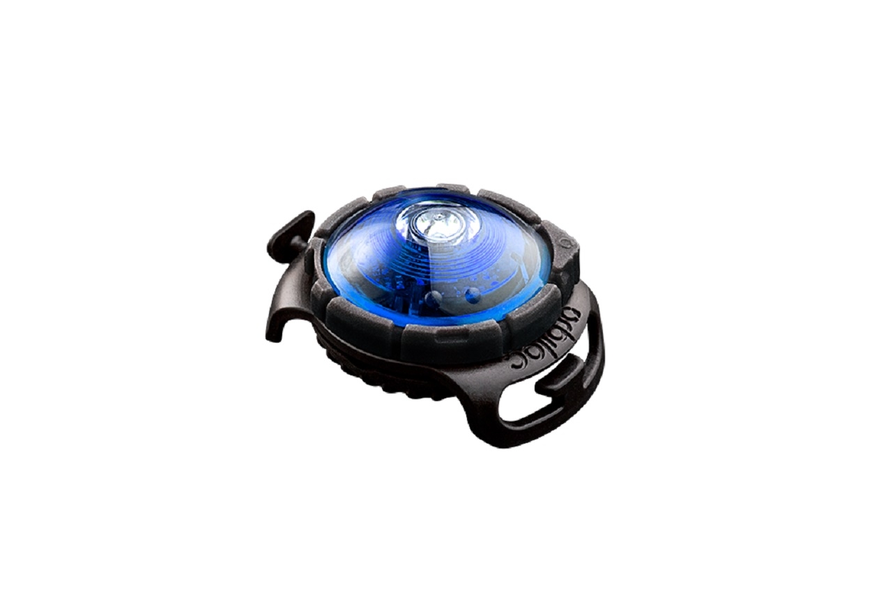 ORBILOC Dog Dual LED gaisma, zilā krāsā - Produkta attēls 3