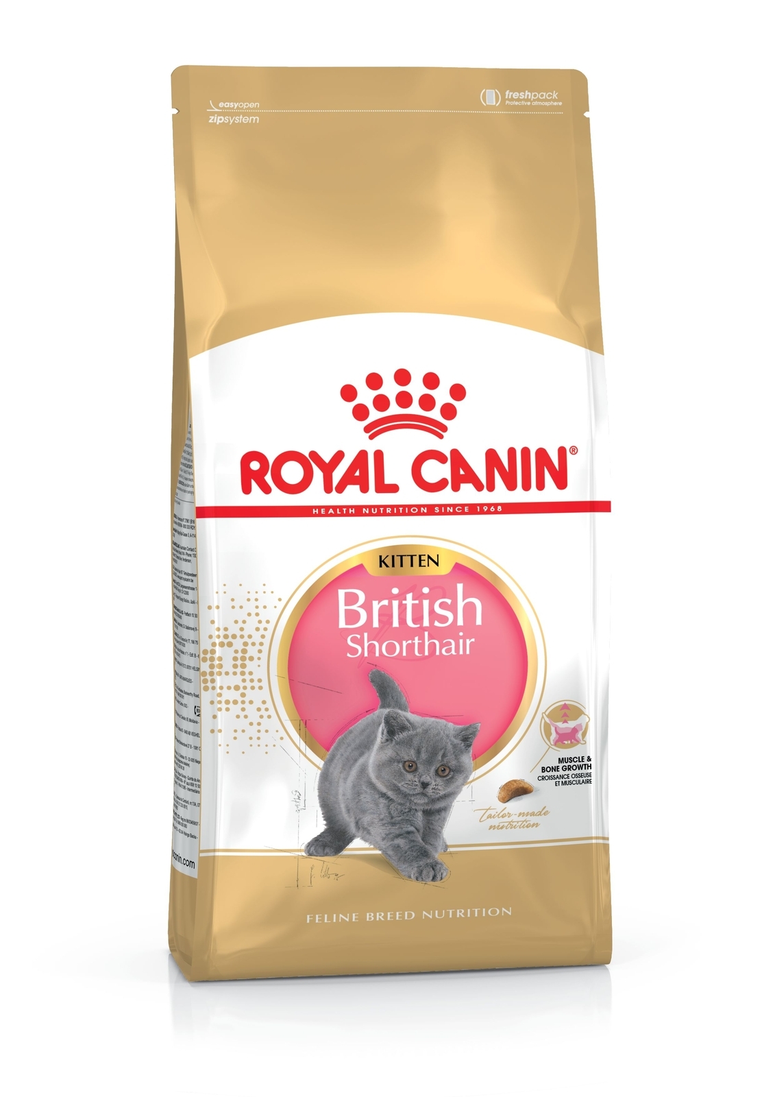 ROYAL CANIN sausā barība Britu īsspalvainās šķirnes kaķēniem, 2kg - Produkta attēls 2