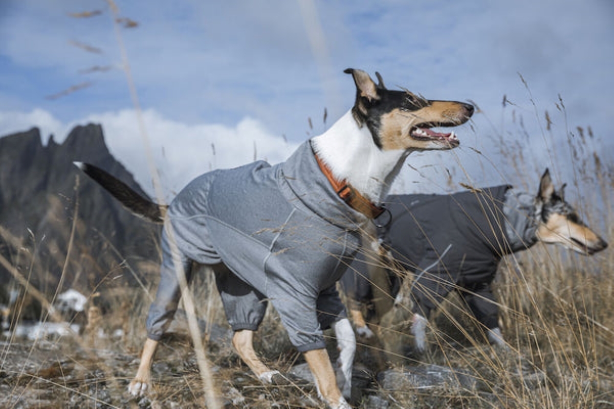 HURTTA Body Warmer kombinezons pelēks 40XS - Produkta attēls 5