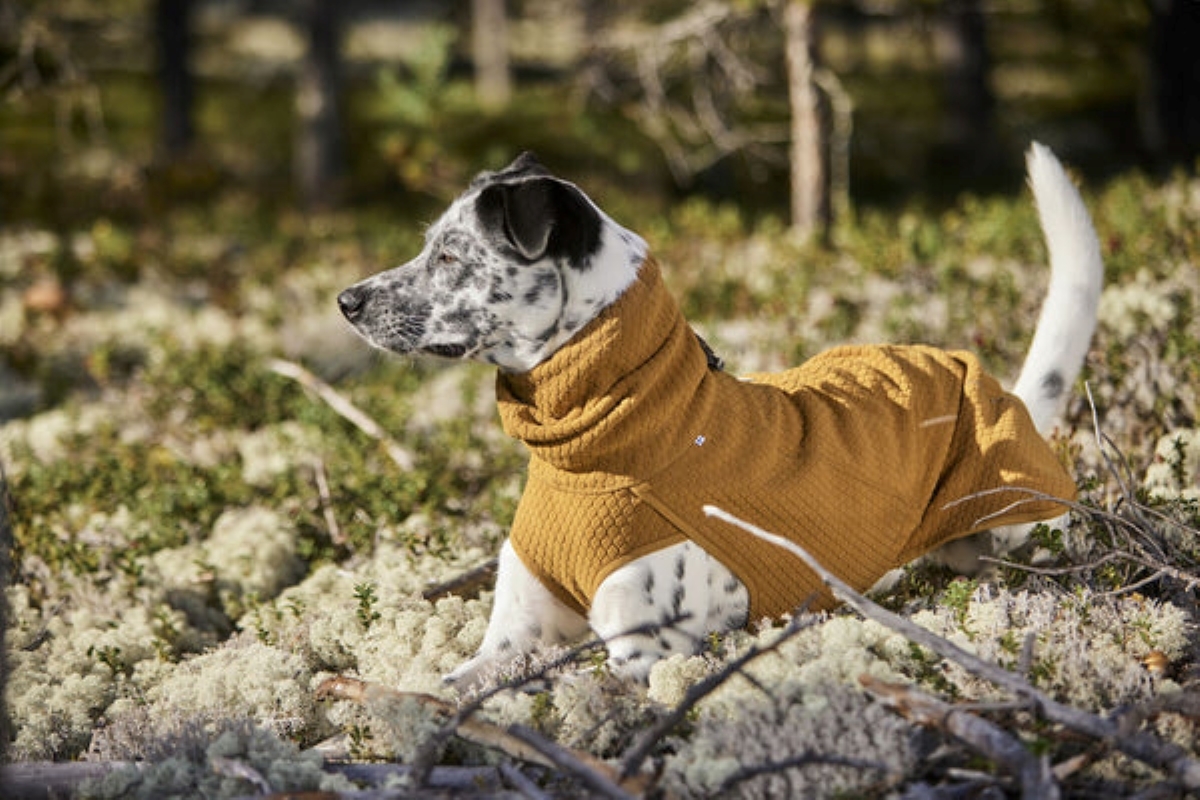 HURTTA ECO Midlayer Warming jaka suņiem, 40, tuksnesis - Produkta attēls 3