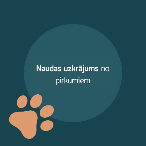 Kaupkite 6% pirkiniams