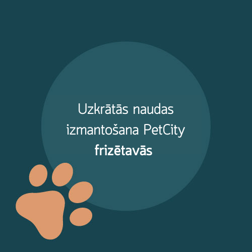 Gaukite 6% nuolaidą PetCity klinikose