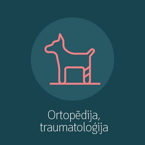 Ortopēdija, traumatoloģija