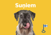 Suņiem