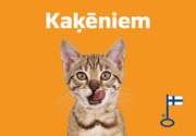 Kaķēniem