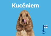 Kucēniem